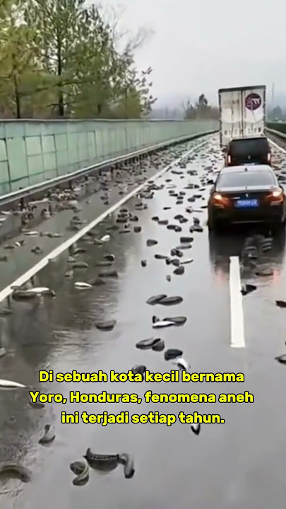 pernah dengar hujan turun,tapi bukan air?? #shorts