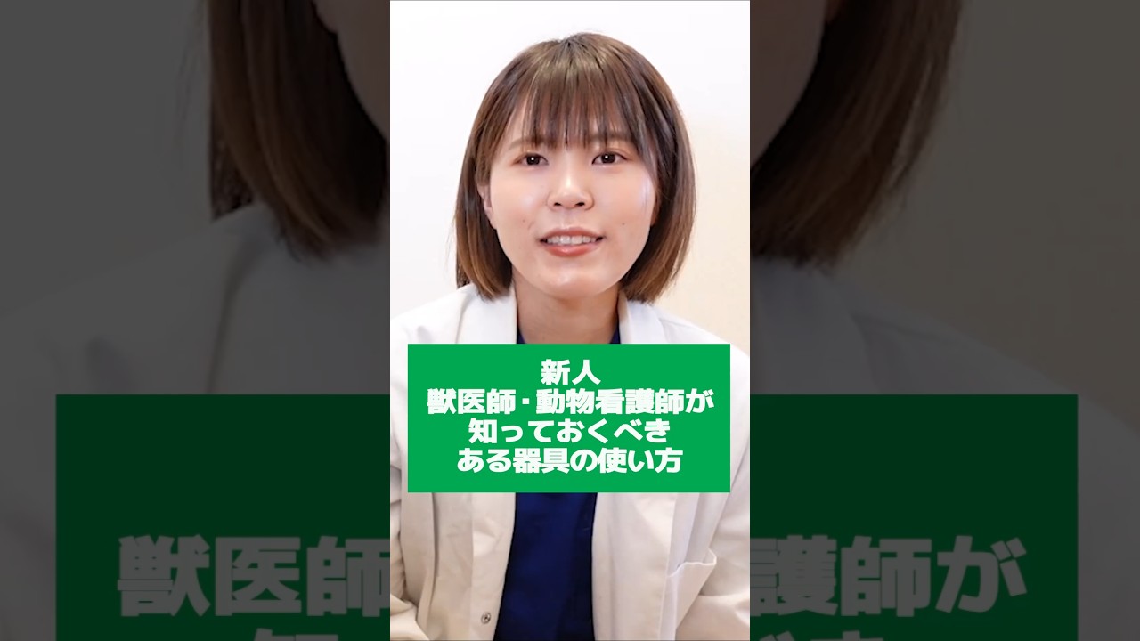 獣医大学生、動物看護師必見！聴診器の使い方 - YouTube