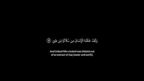 ولقد خلقنا الإنسان من سلالة من طين// سورة المؤمنون #