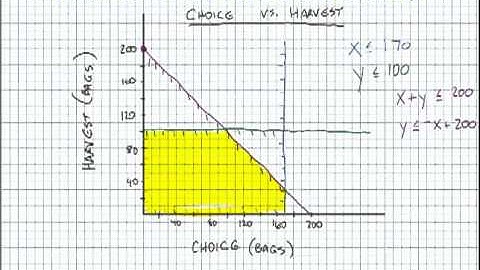 Linear Programming Tutorial.mp4