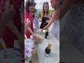 Des australiennes s'offrent une bachelorette party en Champagne  dans une ambiance tres festive