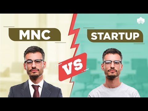 How to choose between to work for a startup or a well-established company? | Knowledgehut
