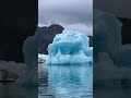 Jetskiing in alaska #shorts #alaska #jetskiing