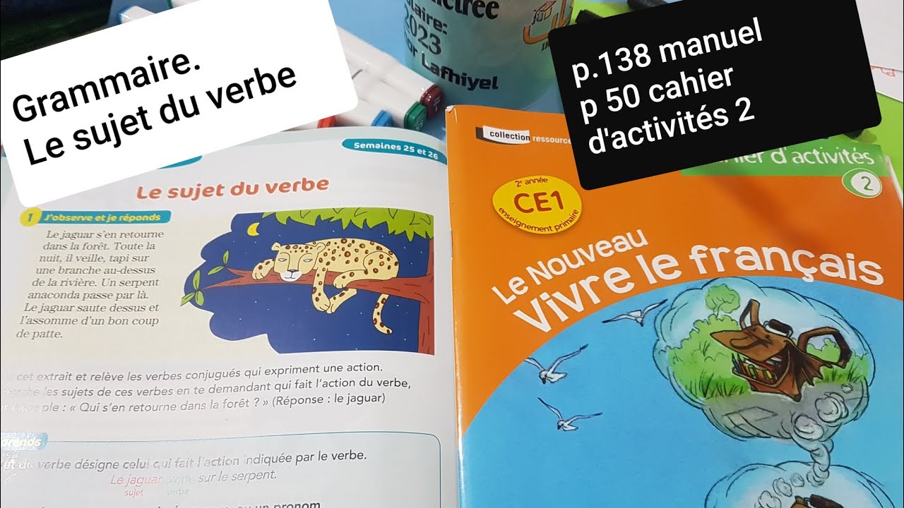 Grammaire. Le sujet du verbe Le nouveau vivre le français CE1 p.138 manuel ,50 cahier d'activités 2