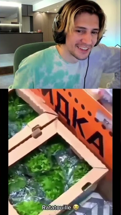 XQC REACTS TO RATATOUILLE MEME