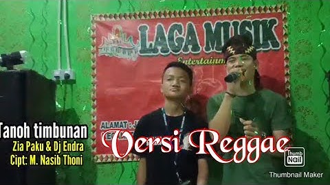 Lagu Lampung Populer || TANOH TIMBUNAN _ Cipt: M.Nasib Thoni || Versi Reggae