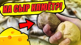 ПОДПИСЧИК ПОДСКАЗАЛ, КАК СДЕЛАТЬ ТЕСТО ДЛЯ РЫБАЛКИ ИЗ СЫРА! НА НЕГО КЛЮЁТ КРУГЛЫЙ ГОД!!!