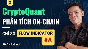 CryptoQuant TẬP 2A: Flow Indicator - Dữ liệu OnChain của Cá voi & Thợ đào Bitcoin?