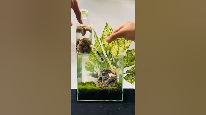 Cara Membuat Aliran Air Tanpa Listrik di Aquarium