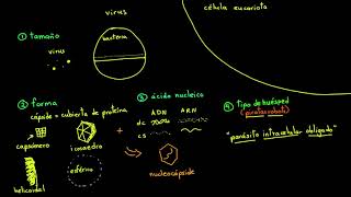 Estructura y clasificación de virus | Khan Academy en Español