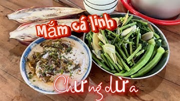 Mắm Cá Linh Chưng Dừa Ăn Kèm Rau Luộc Và Bắp Chuối Chát Thật Là Ngon!