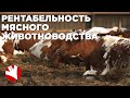 Рентабельность ферм | Молочное и мясное животноводство | КФХ Герефорд