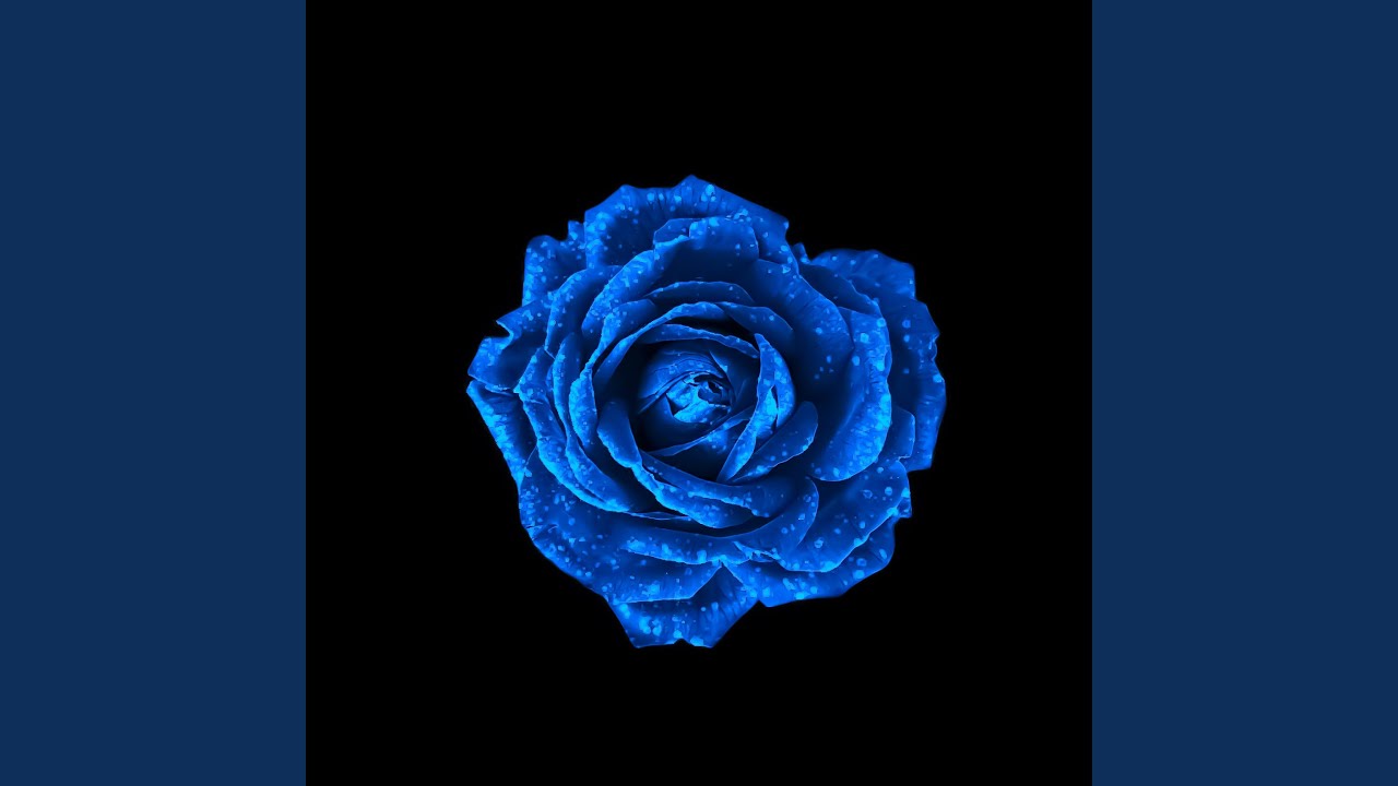 Watch POP SMOKE (feat. Sebo & Spicyboi Thvndx) on YouTube Watch POP SMOKE (feat. Sebo & Spicyboi Thvndx) on YouTube