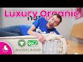 Avocado Wool Review - Organic Without Latex