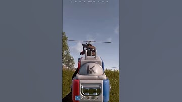 SCRAPPY FLEW STRAIGHT INTO US??!