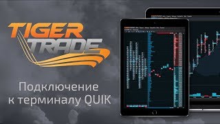 Настройка подключения через QUIK