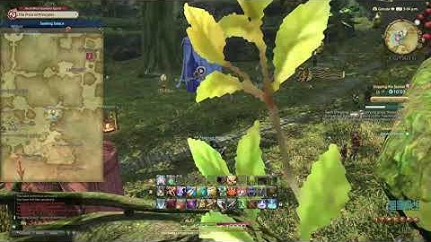 Seeking Solace - Final Fantasy XIV - A Realm Reborn