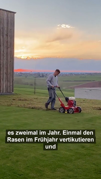 Wann & wie oft sollte man den Rasen vertikutieren? 🌱 vertikutieren 