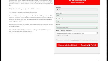 PayPal Adaptive Checkout IE 11