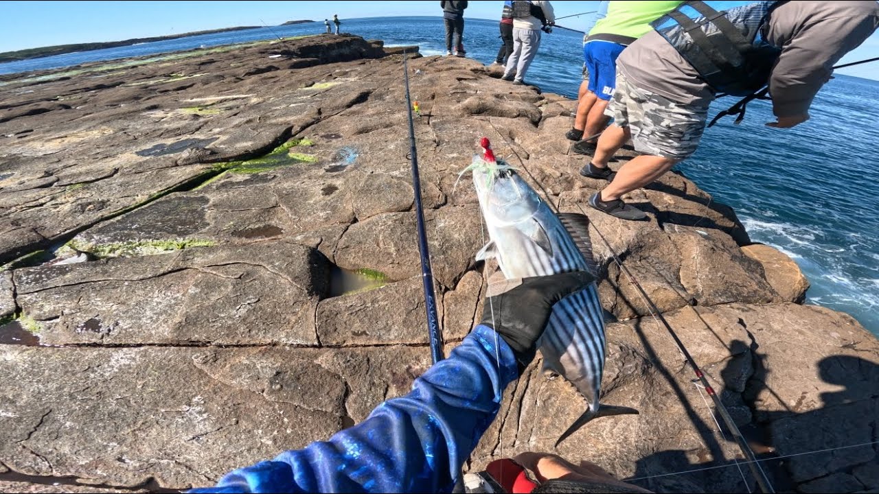 Bonito Rig ANZAC DAY @ PORT KEMBLA | ROCK FISHING | Coco rig | WOLLONGONG | BONITO ...