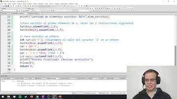 Archivos en C - Lectura/Escritura en archivos binarios