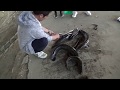 Bắt cá lóc khủng nướng ăn tại bờ sông