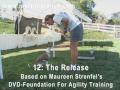 Puppy Agility Foundation Part 2 Puppy Agility Foundation Part 2