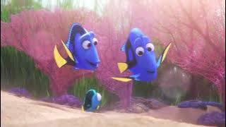 Dory | Lip Sync Dubbing | Voiceover