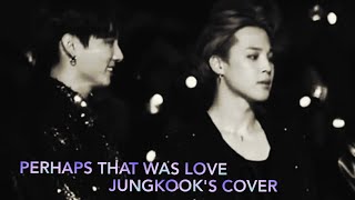 PERHAPS THAT WAS LOVE (아마도 그건) BY CHOI YONG JUNG : JUNGKOOK'S COVER IN JIKOOK MV (ENGSUB) 200115