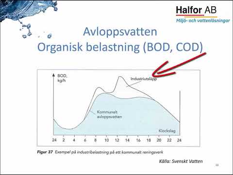 Video: Vad är en uppsamlingstank för avloppsvatten?