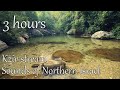 3 hours Stream sounds from Northern Israel | Relax | Study | Meditation | Yoga | Nature | Kziv river