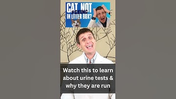 What is a urinary diet?