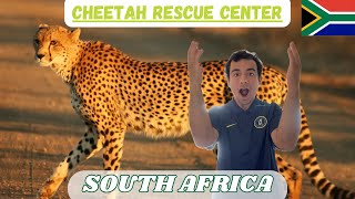 Zululand Cat Conservation Project | CHEETAHS UP CLOSE