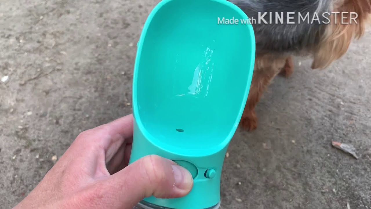 PB+ Pet Care Cup Поилка для животных