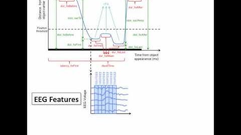 Multimodal BCI Feature Extraction Demo