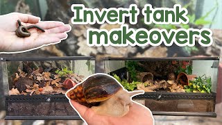 My Invertebrate tanks get a makeover! | Millipedes & Giant african land snail