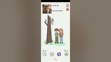 Brain Maze Level 35 How To Save the Kitten