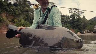 Fly Fishing for Pacú in the Bolivian Amazon