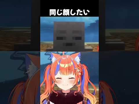 同じ顔でスクショしたい！【 #猫屋敷美紅 #あらなみマイクラ 】