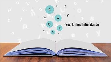 Sex-Linked Inheritance - Genetics Bonus Video
