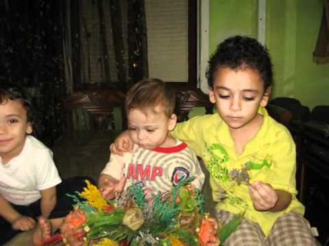 عائلة البستانى