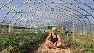 Come Tour our New Market Garden High Tunnel 2021  I'm Loving It!