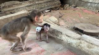 Ohhh God Minea Is Very B Run To P-Ush Hair Monee And Carry Monee With Her