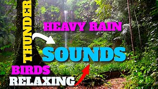 Thunderous Serenity: 3-Hour Rain & Thunder Sounds for Deep Relaxation