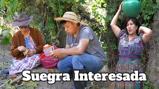 THE SELF-INTERESTED MOTHER-IN-LAW reflection