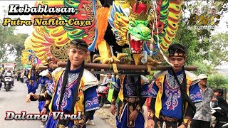 Kebablasan ❗ Dalang Viral - Putra Nafita Caya || Limpas - Patrol