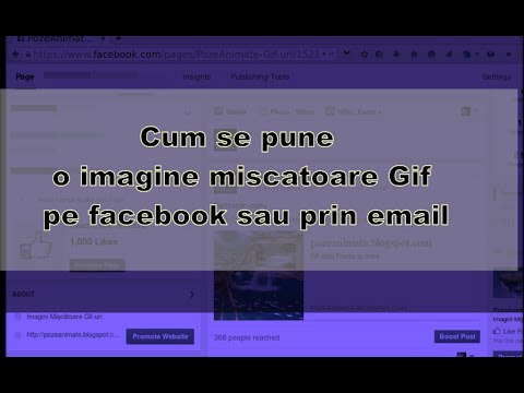 Video: Cum Se Introduce O Imagine Animată