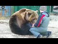 Ну эту спячку, давай обниматься!🐻💗