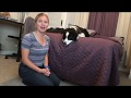 Trick Training: Teach Your Dog to Rest His Head on His Paws, Wag, and Bow Trick Training: Teach Your Dog to Rest His Head on His Paws, Wag, and Bow
