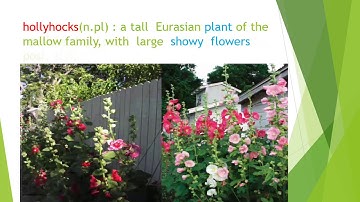 9th STD- PROSE- I Can